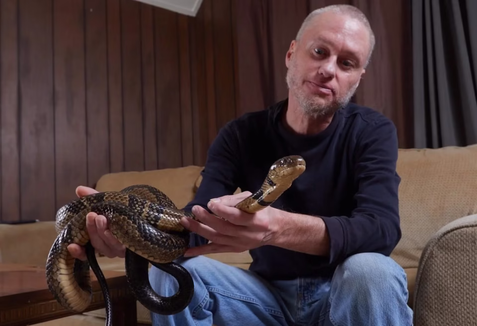 Il se laisse mordre 200 fois par des serpents