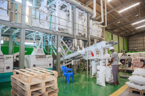 Agriculture : dix nouvelles unités de transformation bientôt érigées au Togo